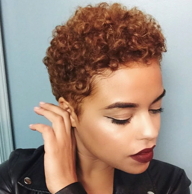 Short Curly Human Hair Wigs