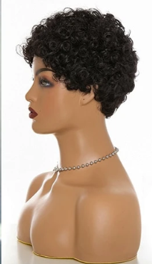 Short Curly Human Hair Wigs