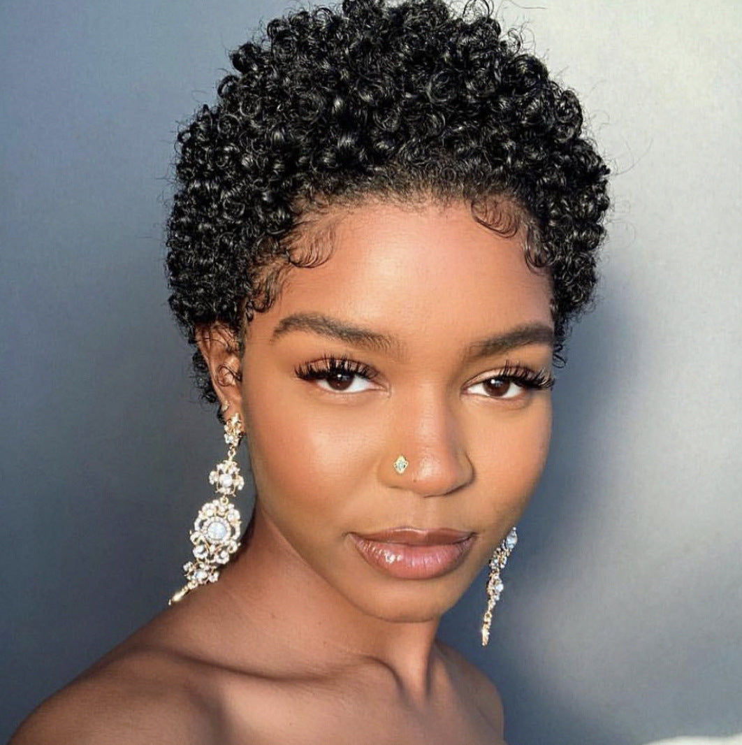 Short Curly Human Hair Wigs