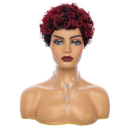 Short Curly Human Hair Wigs