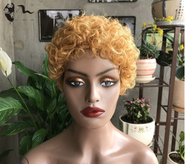 Short Curly Human Hair Wigs