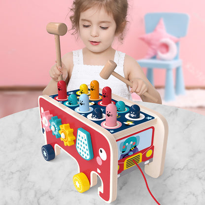 Sensory Play Set: Hammering, Music & Animal Sorting for Toddlers