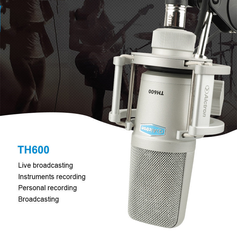 TH600 Large-Diaphragm Studio Condenser Microphone with Shock Mount & Pop Filter