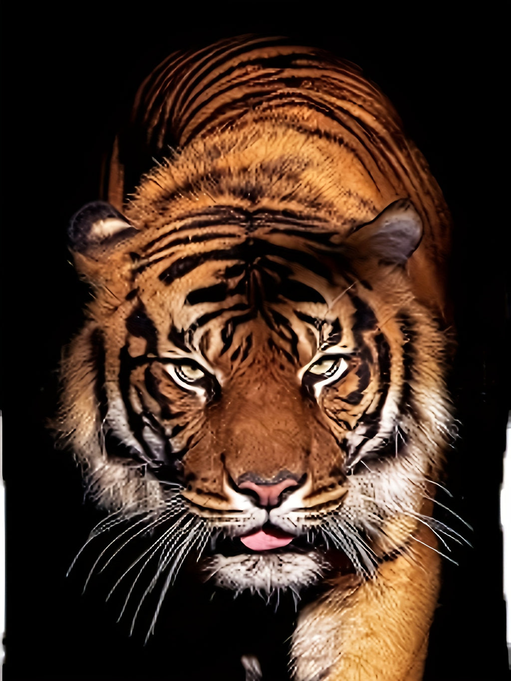 3D Tiger Printed Men's Fashionable Short Sleeved Round Neck T-shirt, Summer Outdoor