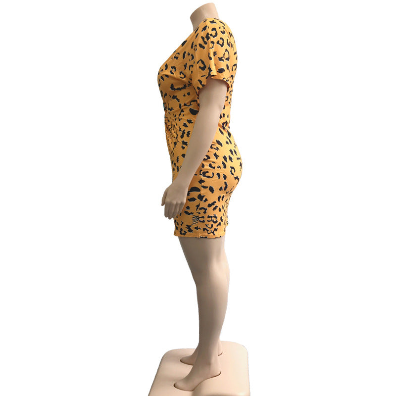 Robe Imprimé Léopard Col V Femme
