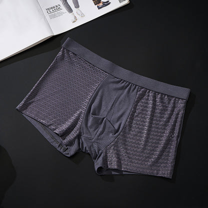 Silky Mesh Boxer Briefs