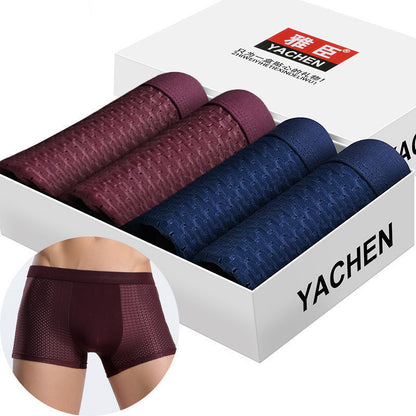 Silky Mesh Boxer Briefs