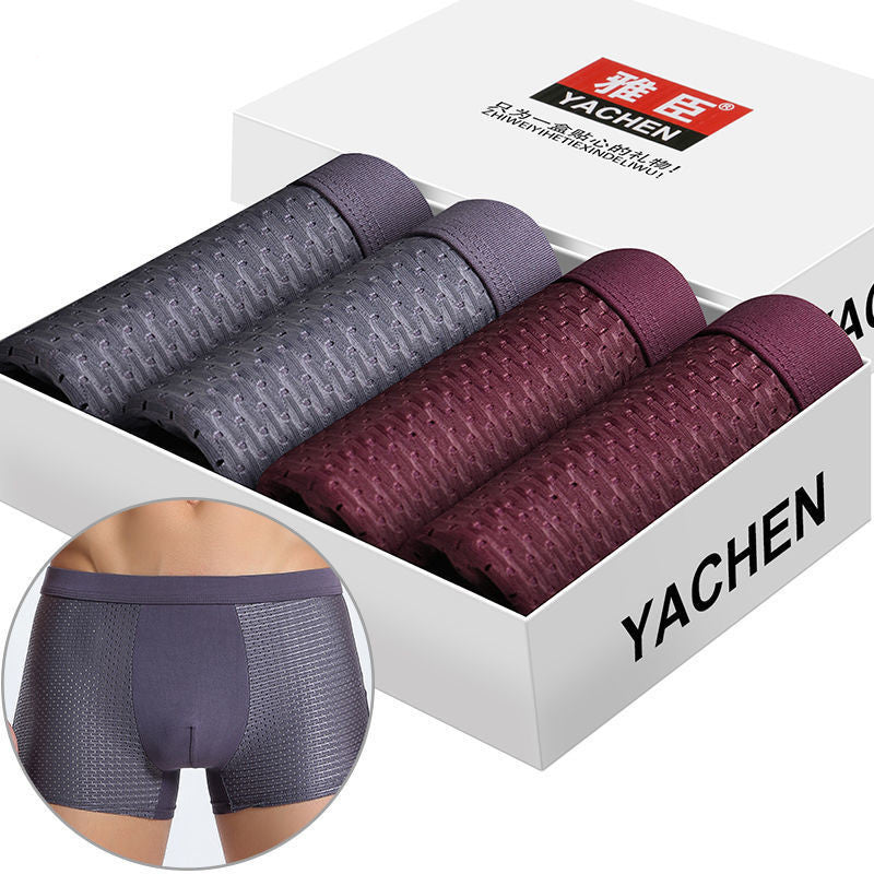 Silky Mesh Boxer Briefs