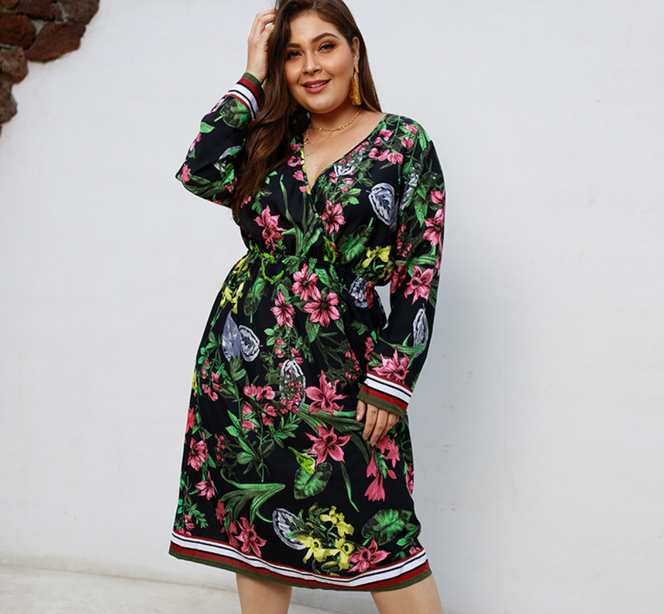 Printed Long Sleeved V-neck Dress