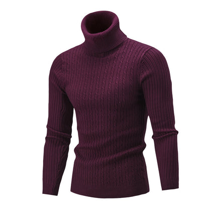 Pull col roulé en tricot coupe slim pour hommes de couleur unie