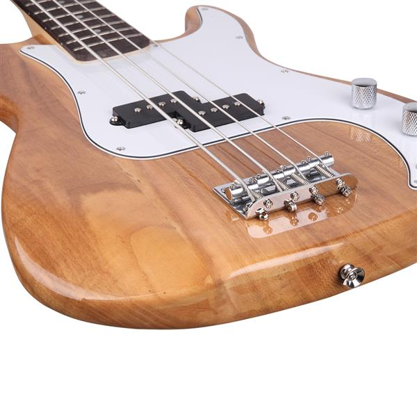 Electric Bass Guitar