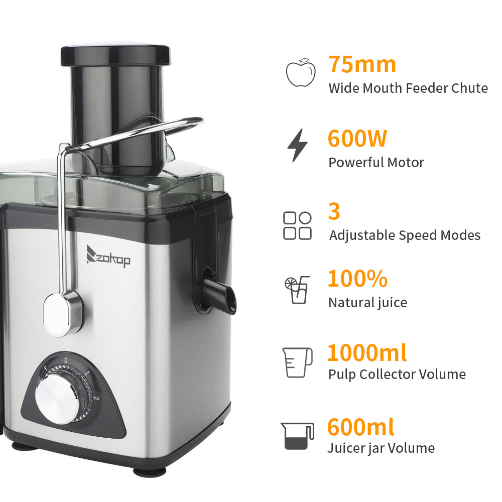 120V 600W 75MM Calibre 1000ML Slag Cup 3 Gear Juicer électrique 