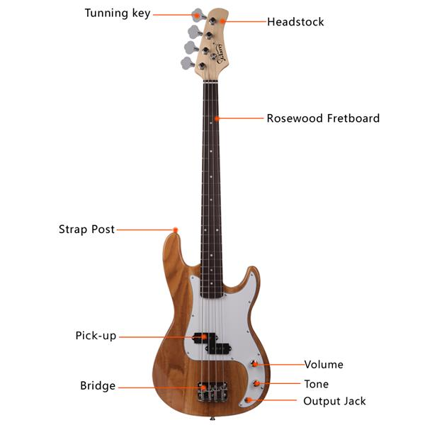 Electric Bass Guitar