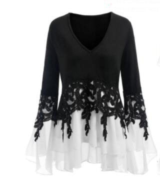 Chiffon Lace Panel Irregular Lace Fringe Long Sleeves